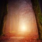 Choker fra Bad Kitty: Et must-have til enhver fashionista