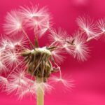 From Athletes to Fashionistas: The Versatility of Windbreakers