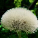 10 smukke kjole-styles til sommerfesten